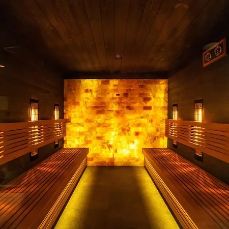 Meta 슈차이르크